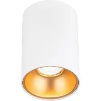 Orion Starlight takspotlight, rund, vit Starlight, dimbar, Vitt / opal, Vardagsrum / matsal, Aluminium / grå / zink, Modern, Spotlight