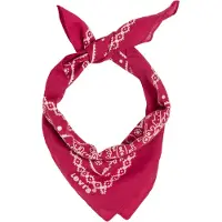 Levis Accessories Paisley Halsduk
