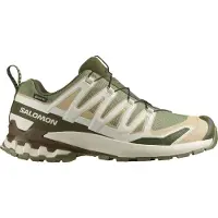 Salomon Men's Xa Pro 3d V9 GTX skor för terränglöpning