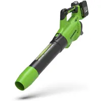Greenworks Batteridriven lövblås GD24X2AB; 48 V (utan batteri och laddare)