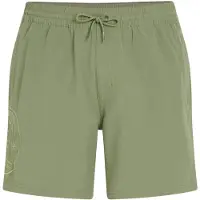 O'Neill O'Riginals Cali Ocean 16'' Boardshorts avery fern Storlek XXL