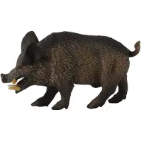 Collecta Samla en vildsvinsfigur (Medium) (Vildsvin)