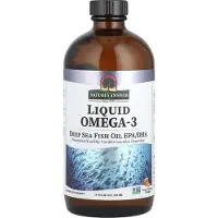Natures Answer , Flytande Omega-3, Fiskolja från Djupa Hav Epa/Dha, Apelsinsmak, 480 ml (16 fl oz)