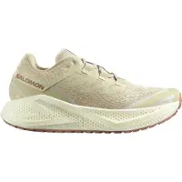 Salomon Men's Aero Glide 3 GRVL skor för terränglöpning