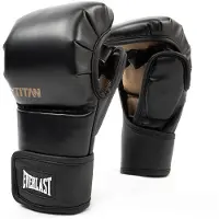 Everlast Titan Hybrid Konstläder Boxningshandskar