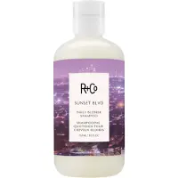 R+Co Sunset Blvd Blonde Shampoo 251ml