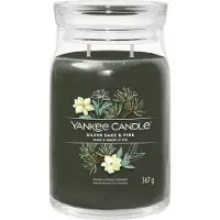 Yankee candle Silver Sage & Pine Signature ljus - 368,0 g