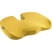 Leitz Active Ergo Cosy Kontorsstolskudde
