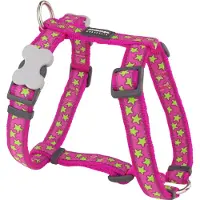Red Dingo Stars Lime On Hot Hundsele