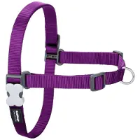 Red Dingo No-pull Hundsele