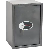 Phoenix Safe Co. SS0804K, 51 l, grafit, Metallisk, Platt nyckel, Stål, Golv, 350 mm