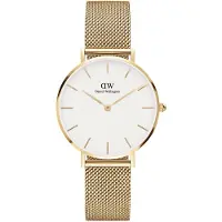 Daniel Wellington Petite Evergold - Stjärnurmakarna