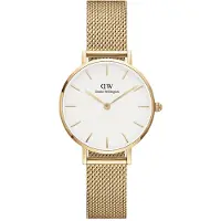 Daniel Wellington Petite Evergold - Stjärnurmakarna