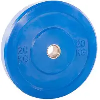 Softee Stötfångarskiva 20kg