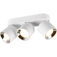 TRIO Lighting Takspotlight Guyana GU10 3 lampor vit Guayana, Vitt / opal, Vardagsrum / matsal, Metall, Modern, Spotlight