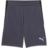 Puma Liga Shorts