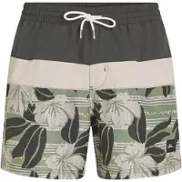 O'Neill Cali Block 15'' Boardshorts green dusty flower, XS