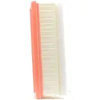 FILTRON Luftfilter AP026/2