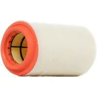 FILTRON Luftfilter AR373