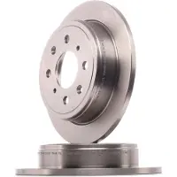 Delphi Bromsskivor BG2538 bak, full, 2 Stycke