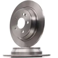 Delphi Bromsskivor BG3969 bak, full, 2 Stycke