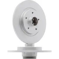 Delphi Bromsskiva BG9113RSC bak, full, 1 Stycke
