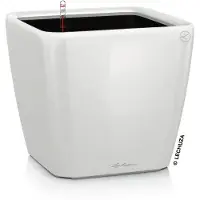 Lechuza Quadro Premium 16120 Planteringsfat Vit