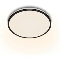 Signify Funktionell Ozziet taklampa 18 W, LED, Glödlampan/-lamporna kan inte bytas ut, 4000 K, 2000 LM, IP20, Svart