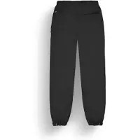 Picture Organic Clothing Dicentra Pants herrskid- och vinterbyxor