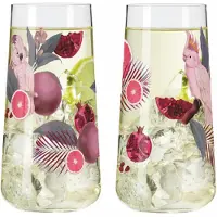 Ritzenhoff Sommersonett Glas 2-pack F24 - Dricksglas Kristallglas Klar