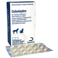 Protexin Cobalaplex kosttillskott för hund och katt