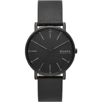 Skagen Signatur SKW6902
