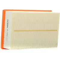 FILTRON Luftfilter AP139/5