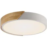 JUST LIGHT Taklampa Bila, Ljust trä, Vardagsrum / matsal, Trä, Taklampa