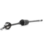 MAGNETI MARELLI Drivaxel 302004190116