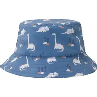 Fresk Dinosaurhatt