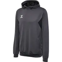 Hummel Authentic Pl Tröja Med Huva