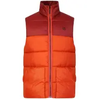 Regatta Mens City Padded Gilet (Rooibos Tea/Madder Brown)