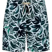 Shiwi Badshorts 'MIKE' grön / vit