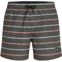 O'Neill Cali First 15'' Boardshorts grey o/neill stripe, XXL