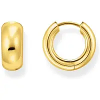 Thomas Sabo Hoop earring örhängen CR741-413-39