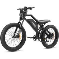 Electric Ride MEELOD XT600 Adult Electric Bicycle 750W Motor 48V18Ah Battery 26 inch Retro Fat Tire Mountain Electic Bike svart