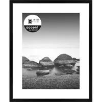 Nielsen Design 1122000 Växelram akryl Pappersformat: 24 x 30 cm (B x H) 24 cm x 30 cm Svart