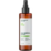 Scandinavian Biolabs Sea Mineral Spray Texturspray 100 ml