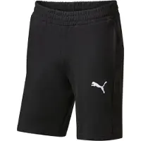 Puma teamGOAL Casuals Shorts 658608-03