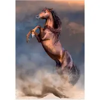 Clementoni Collection-Vildrd hingst-500 bitar-Pussel Vertikalt kul fr vuxna Made in Italy Flerfrgad 35521