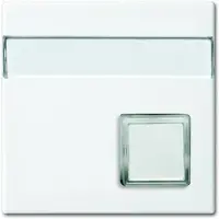 Busch-Jaeger Vippa/centrumplatta Strömställare Vit, Renvit (RAL 9010) 2CKA001582A0397