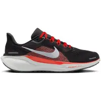 Nike Löparskor Nike Pegasus 41 fd2722-008