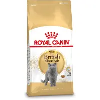 Royal Canin British Shorthair, Vuxen, Brittisk korthår, 2 kg, Antioxidanter ingår