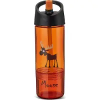 Carl Oscar Vattenflaska m. Sugrör - 2-I-1 - 300/150 ml - Orange - - One Size - Vattenflaska